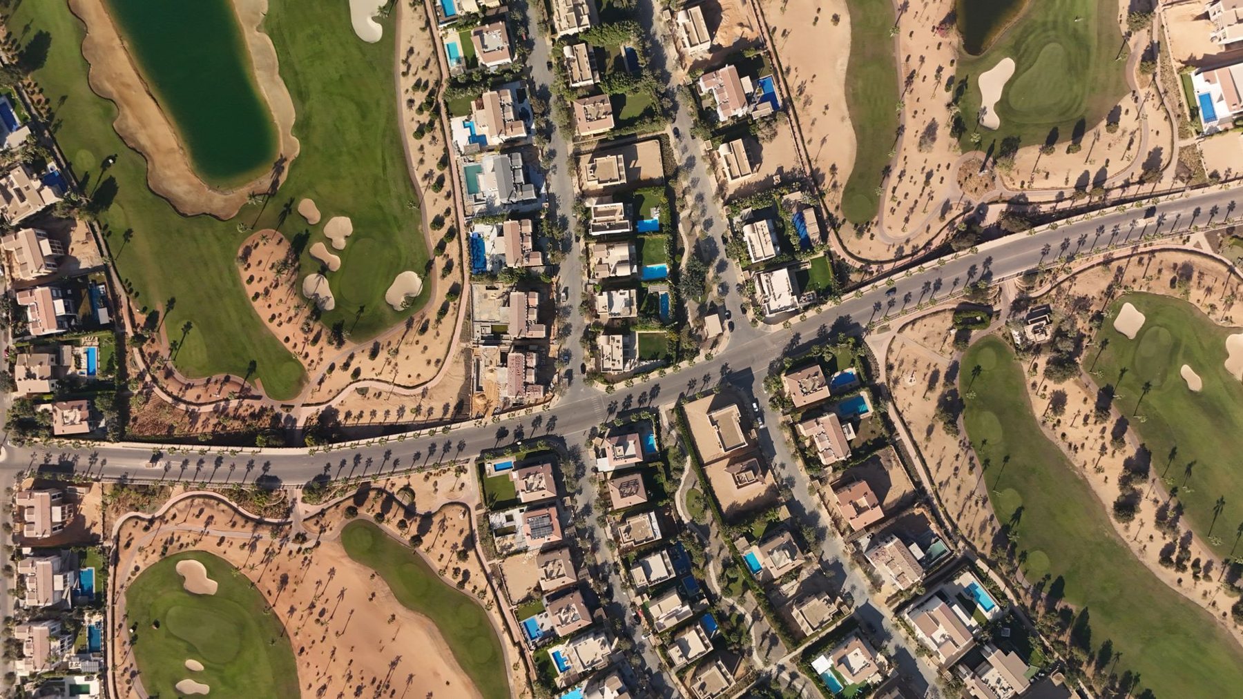 Commercial & HOA Turf in Scottsdale AZ