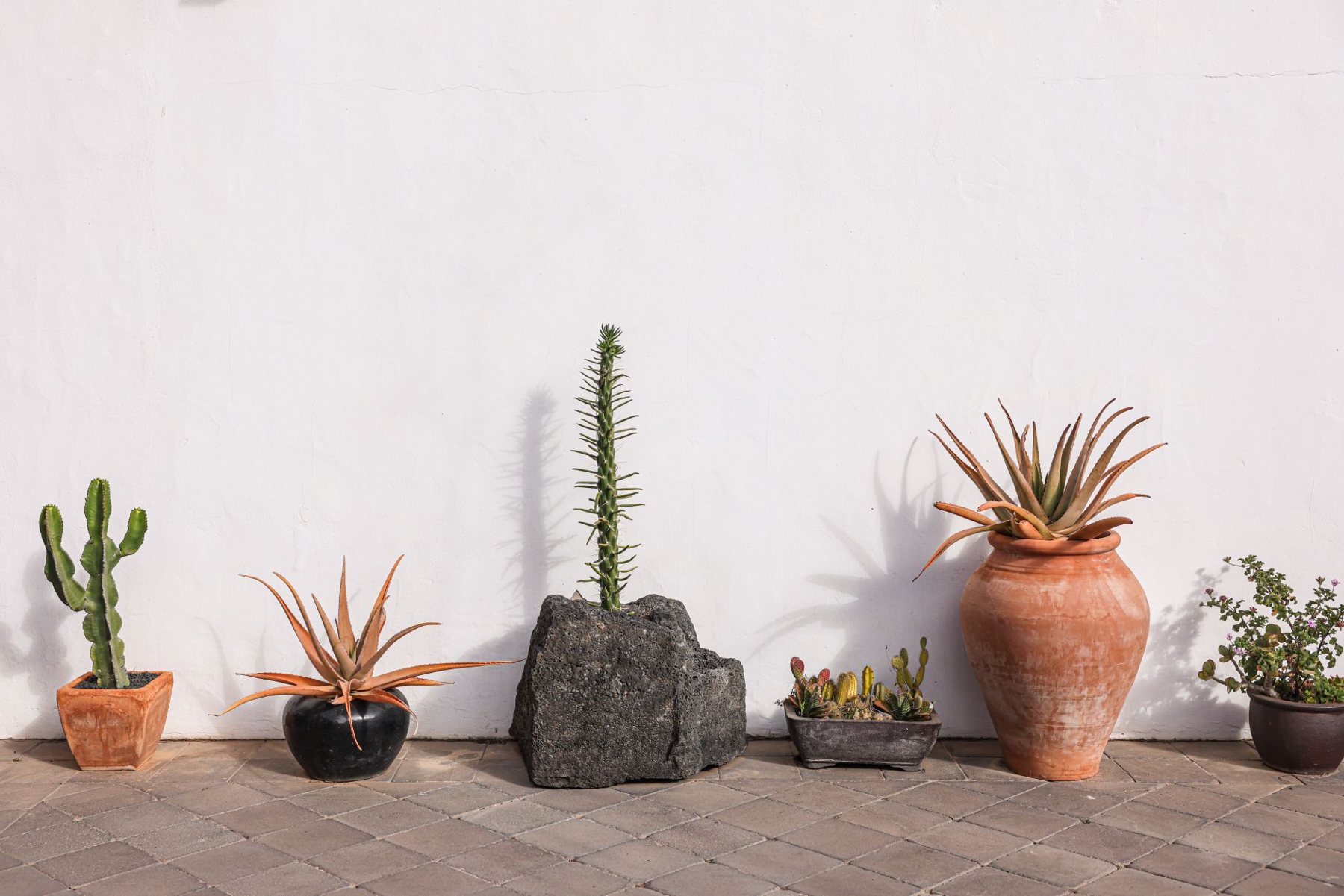Outdoor living & fire features in Scottsdale, AZ